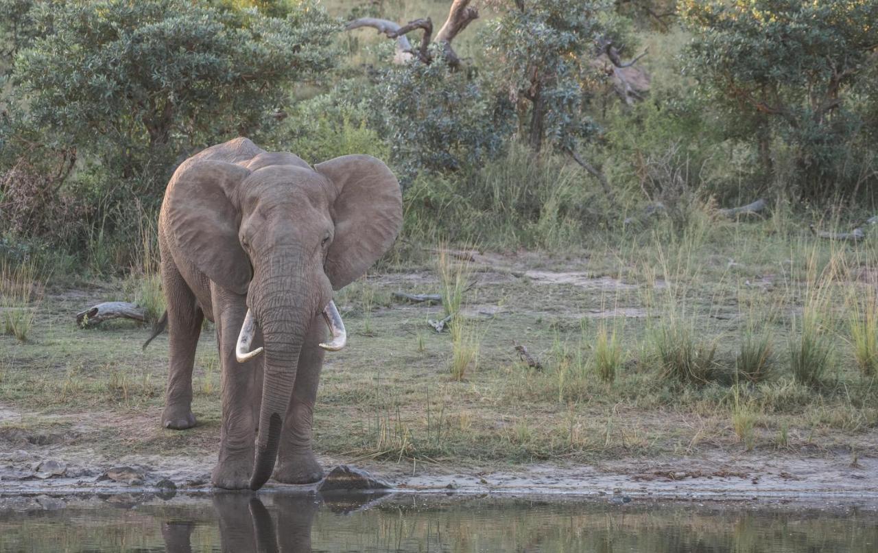 Tamboti River Lodge Hectorspruit Luaran gambar